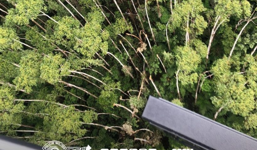 imagem aérea de mata fechada. URGENTE: Polícia Militar localiza helicóptero desaparecido em Paraibuna