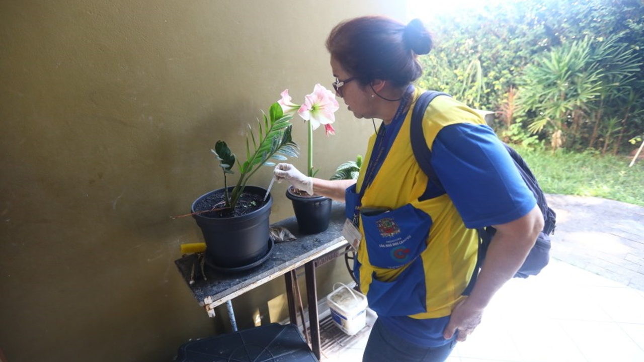 Primeira ADL de 2024 em São José dos Campos terá o objetivo de identificar os níveis de infestação de larvas do mosquito Aedes aegypti