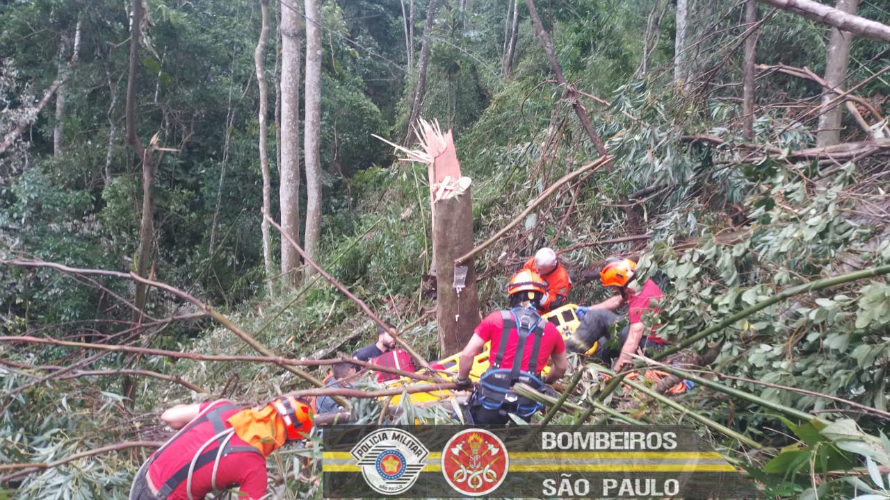 Resgate aconteceu em uma área de mata próximo ao Buquirinha, na região norte de São José dos Campos
