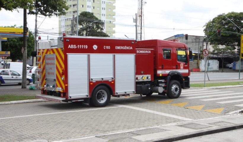 Incêndio em Taubaté mata dois cachorros. - Foto: Bombeiros