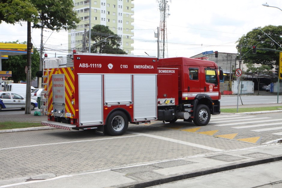 Incêndio em Taubaté mata dois cachorros. - Foto: Bombeiros