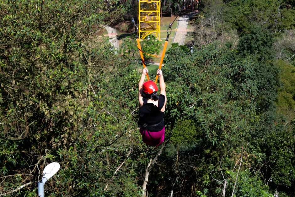 2ª Arbotrilha no Parque Alberto Simões, na zona norte de São José dos Campos, também é destaque na Agenda Cultural no Vale deste final de semana 