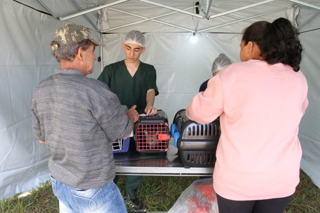 Ação para microchipagem em pets acontece em Jacareí neste sábado. Fonte: PMJ