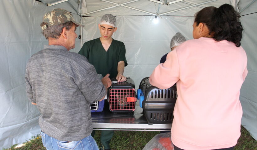 Ação para microchipagem em pets acontece em Jacareí neste sábado. Fonte: PMJ