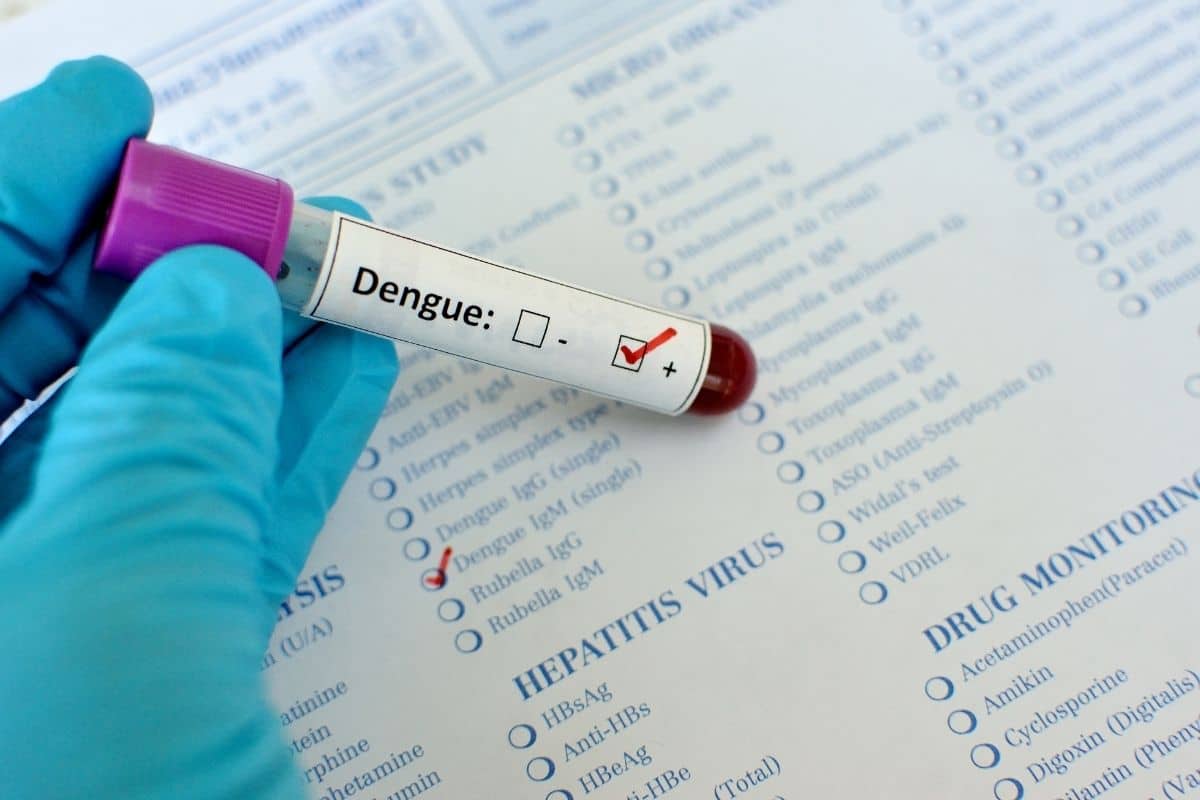 Região chega a 74 mortes por dengue