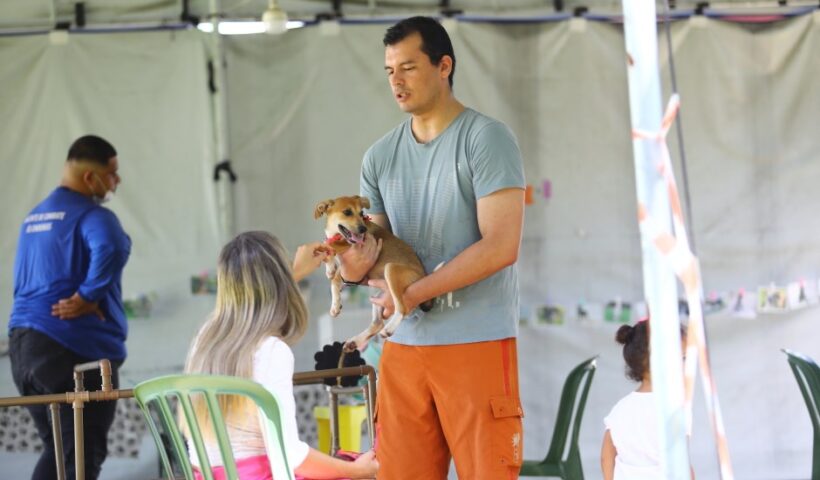 Feira de adoção de cães e gatos acontece neste sábado, no Pq Industrial, zona sul de São José dos Campos