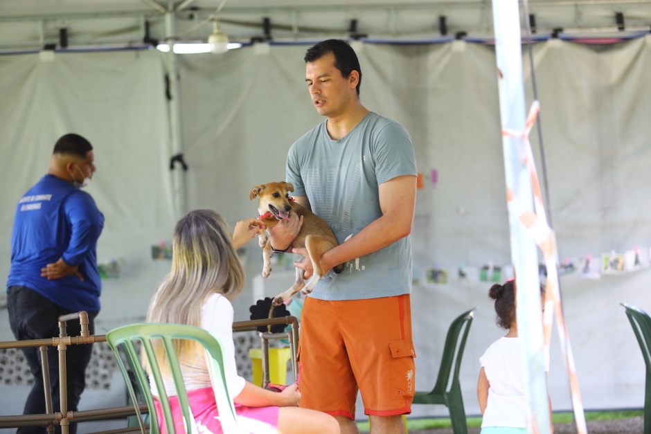 Feira de adoção de cães e gatos acontece neste sábado, no Pq Industrial, zona sul de São José dos Campos 