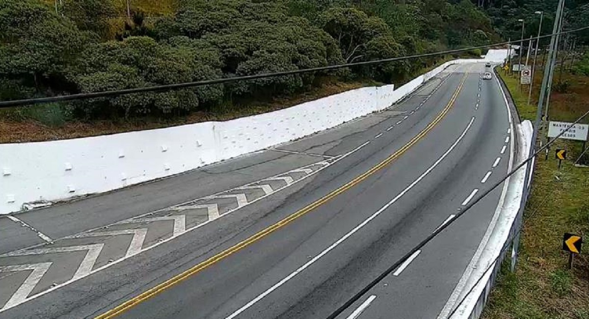 Colisão com vaca deixa um ferido e animal morto em rodovia de Taubaté. Foto: Street View