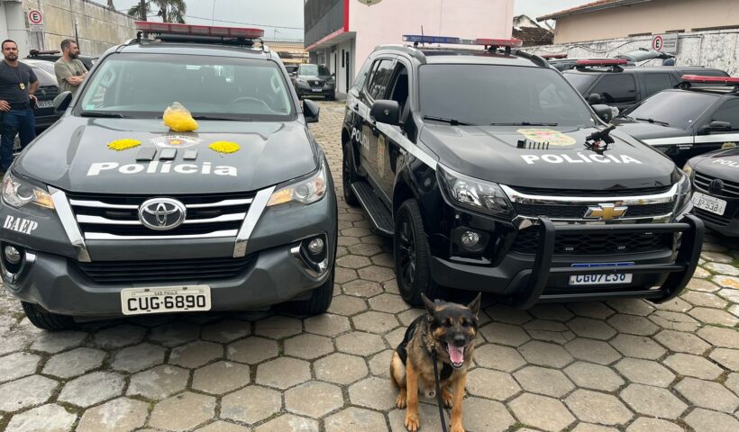 Nove homens são presos por tráfico de drogas em Caçapava