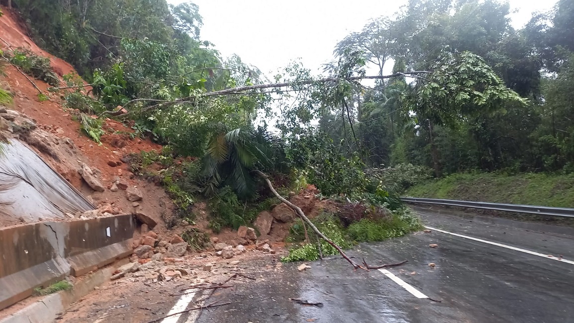 08.03 - Queda de Árvore Serra Antiga Tamoios manhã. Deslizamento de terra na Serra Antiga da Tamoios causa interdição temporária