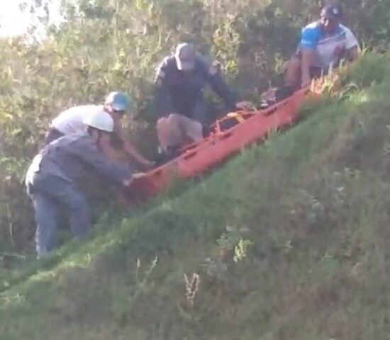 Bombeiros resgatam piloto de paraglider após queda de 6 metros, em Caraguatatuba