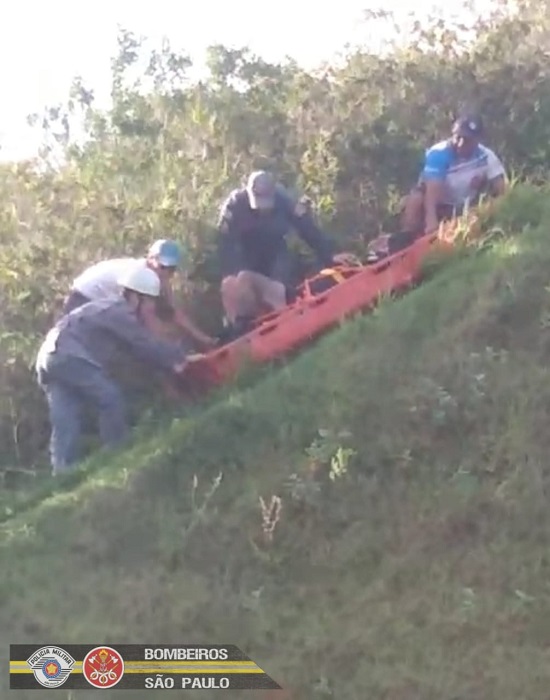 Bombeiros resgatam piloto de paraglider após queda de 6 metros, em Caraguatatuba