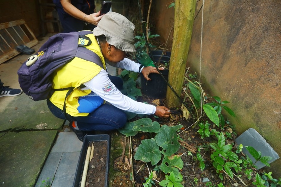 agente da prefeitura confere ponto de foco de dengue. Entenda o que é o decreto de emergência pela dengue em São José e o que muda