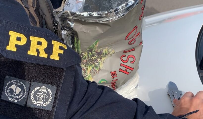 Homem é preso transportando "flor de maconha" na Dutra, em Jacareí