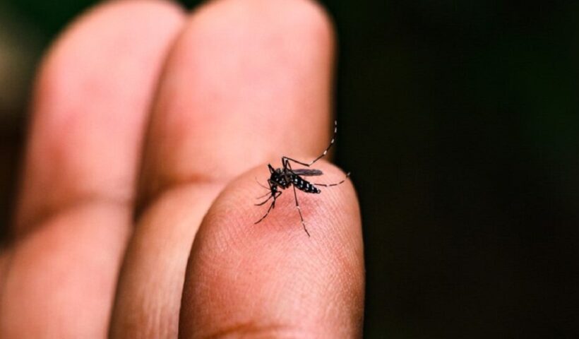 Jacareí registra 6º morte por dengue na cidade
