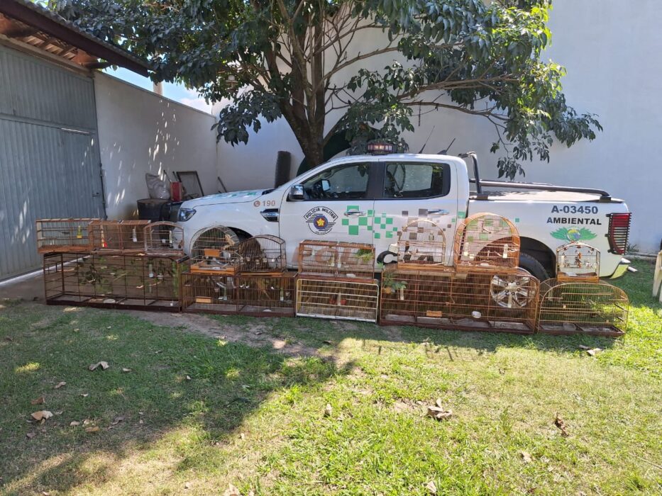 Homem é preso por manter aves silvestres em cativeiro e galos para rinha em Guaratinguetá