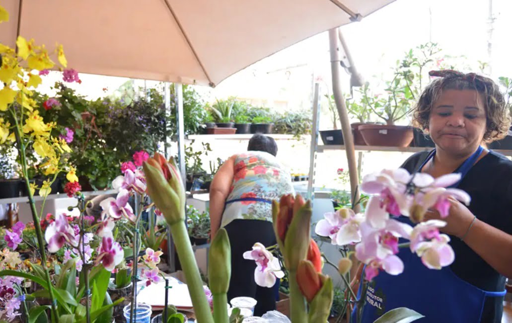 duas mulheres cuidam de plantas . Desenrola para MEI e micro e pequenas empresas começa nesta segunda (13)exóticas para venda.