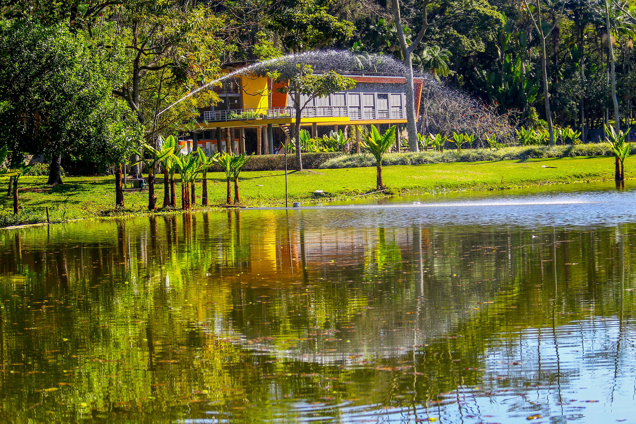 Concessão do Parque da Cidade de SJC é tema de debate na Rádio CBN Vale