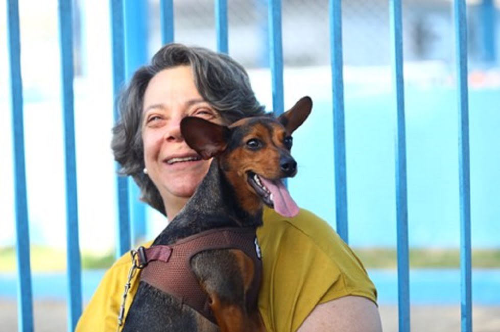SJC: Parque Industrial recebe feira de adoção de cães e gatos neste sábado