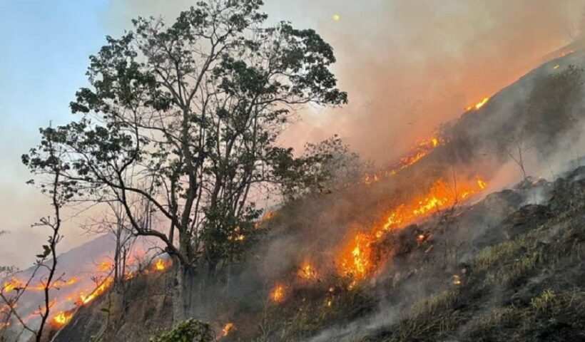 Defesa Civil de SP realiza oficina preparatória para período de estiagem no Vale do Paraíba, e, Tremembé; foto mostra um terreno verde pegando fogo.