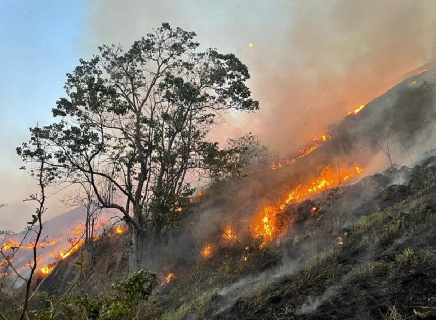 Defesa Civil de SP realiza oficina preparatória para período de estiagem no Vale do Paraíba, e, Tremembé; foto mostra um terreno verde pegando fogo.