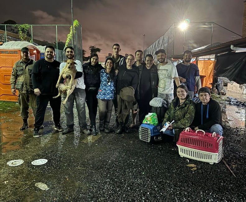 Veterinários de Taubaté voltam do RS com cães adotados