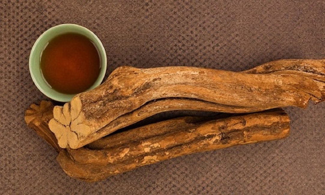 Justiça proíbe mãe de dar chá Ayahuasca para criança em culto em Jacareí