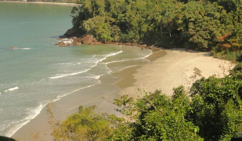 Pai e filho são achados mortos em trilha de Ubatuba.