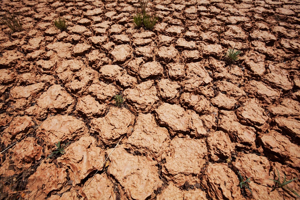 Vale do Paraíba aparece em lista de cidades em situação de seca extrema, de acordo com o Cemadem.
