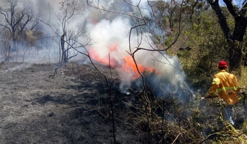 Defesa Civil alerta sobre risco elevado de incêndios para São José dos Campos