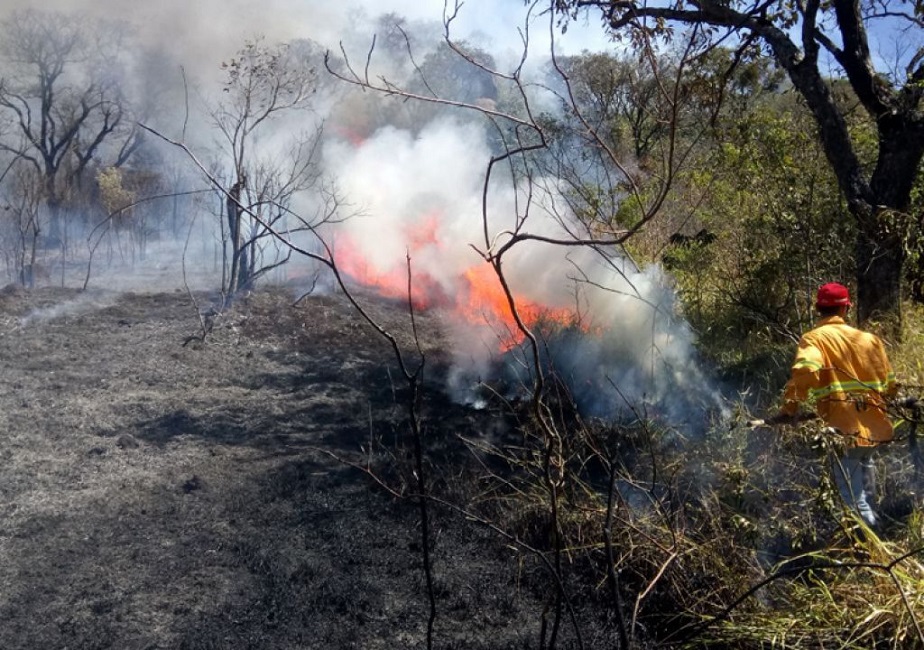 Defesa Civil alerta sobre risco elevado de incêndios para São José dos Campos