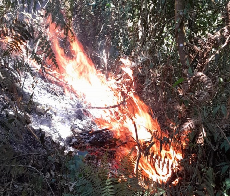 Incêndio iniciado há três dias já atingiu área equivalente a 375 campos de futebol, em Bananal