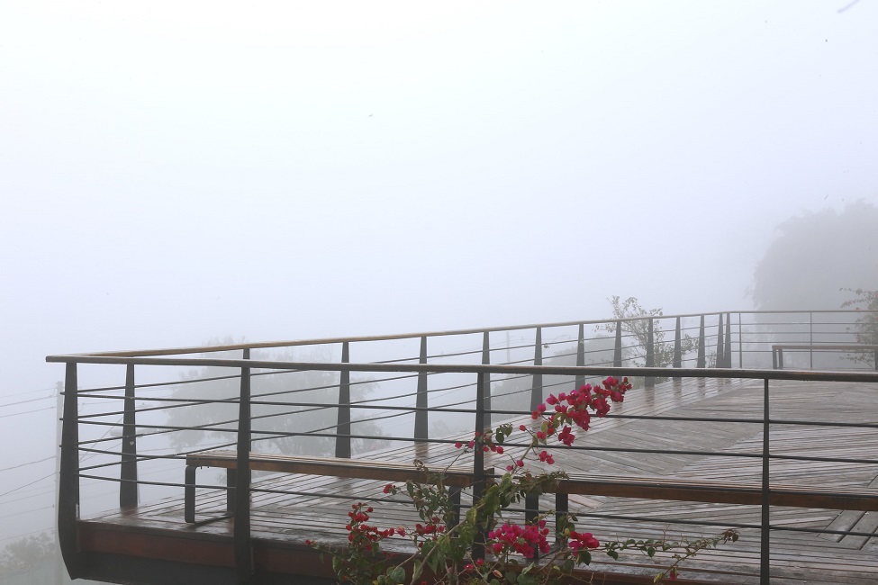 Semana começa com nova frente fria no Vale do Paraíba; veja a previsão. Na foto, deck do Banhado, em São José dos Campos, com neblina, em um dia de inverno.
