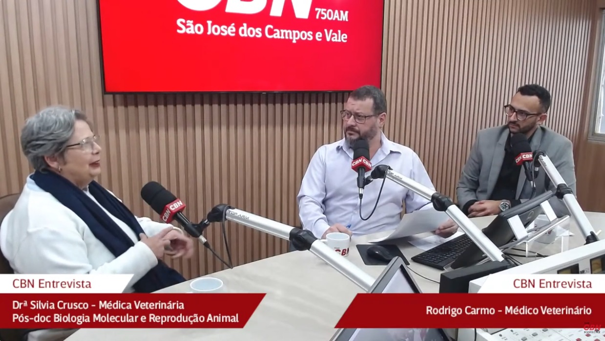 Nova lei de SP sobre pets gera polêmica entre veterinários