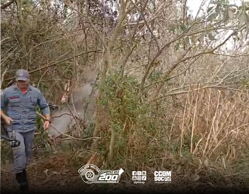Homem é preso após atear fogo em vegetação nativa de Campos do Jordão