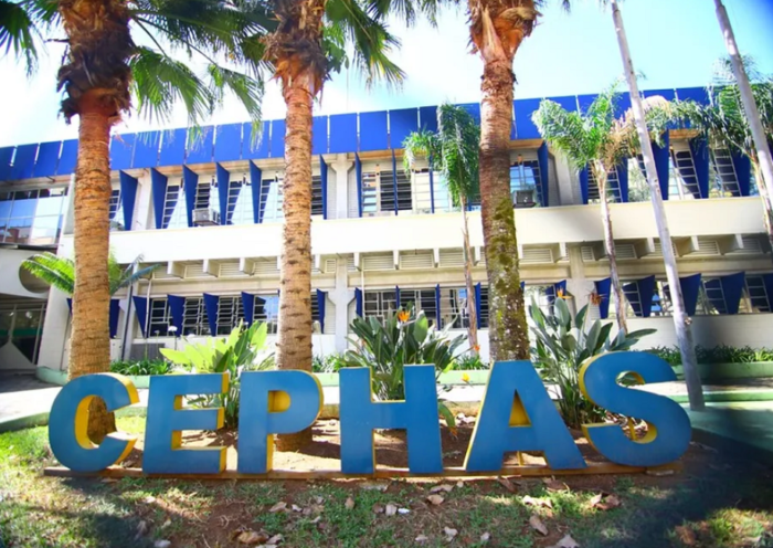 Cephas abre inscrições para cursos EAD em São José