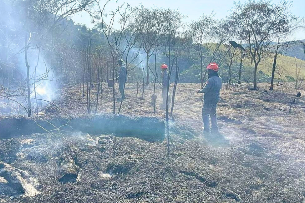 FOTOS Incêndio atinge área de vegetação na zona norte de São José dos Campos