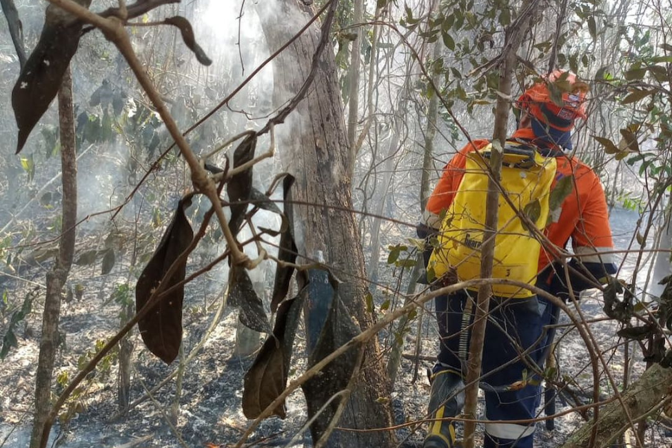 FOTOS Incêndio atinge área de vegetação na zona norte de São José dos Campos
