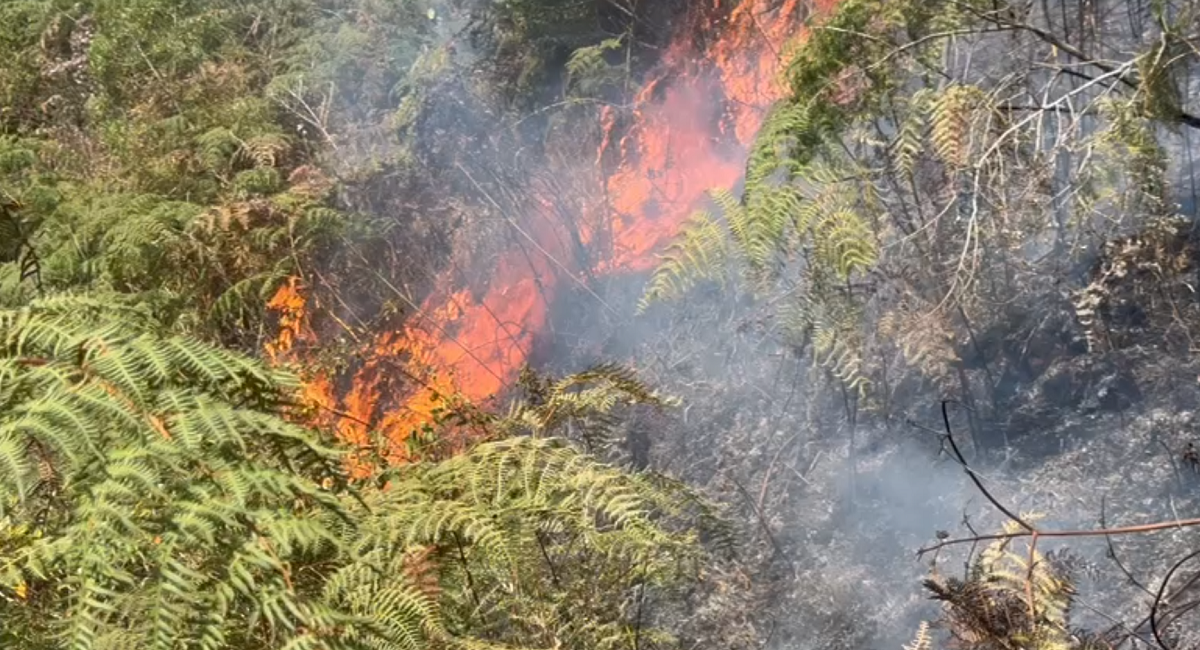 Incêndio fora de controle em Bananal já destruiu área de mais de 330 campos de futebol