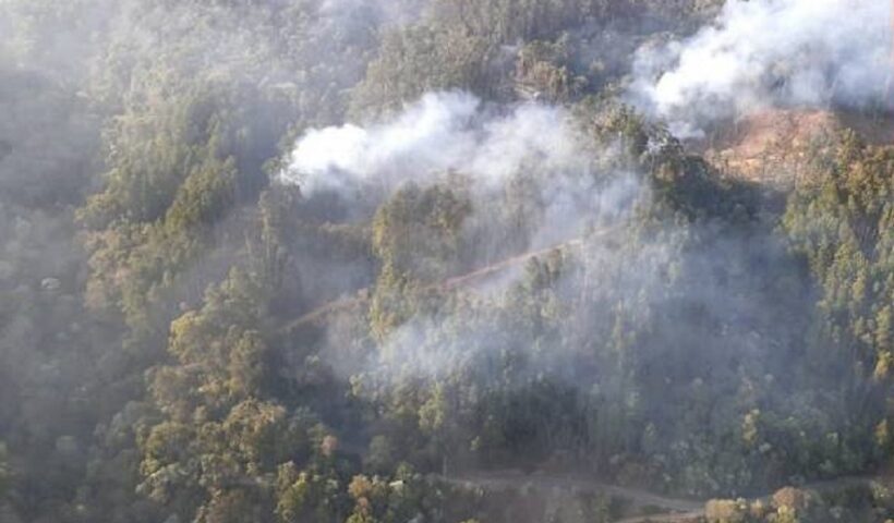 Incêndios atingem áreas de Campos do Jordão; Defesa Civil é acionada