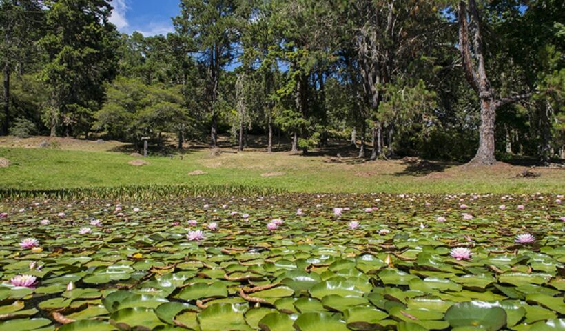 Parques estaduais no Vale são fechados por risco de incêndio