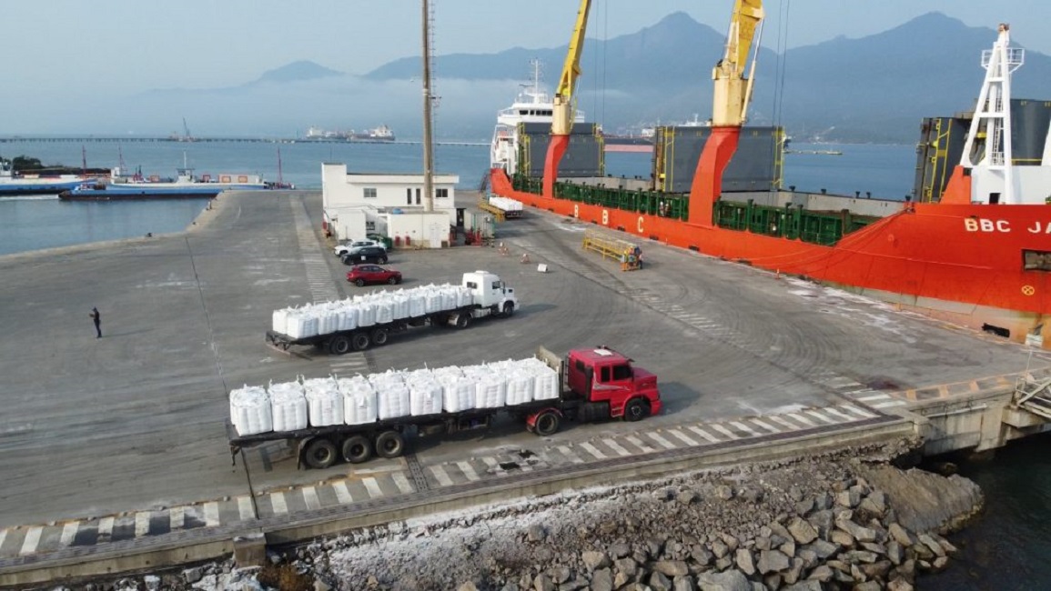Porto de São Sebastião retoma transporte de café após 60 anos