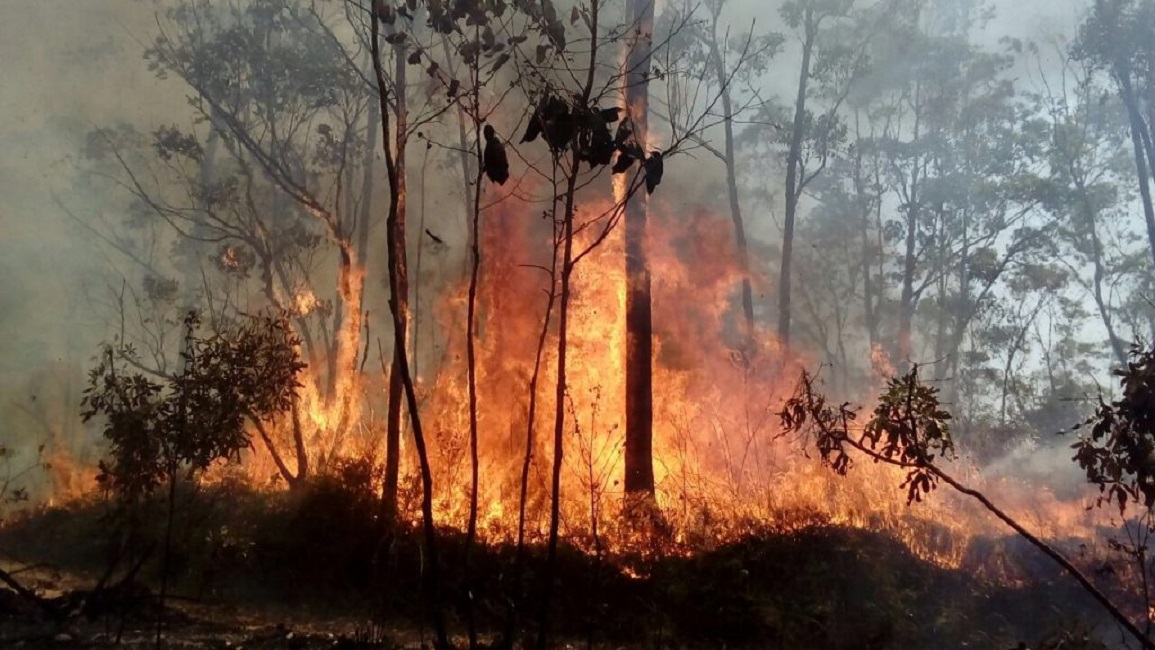 Vale lidera focos de incêndio no estado nesta quinta-feira (12); veja as cidades