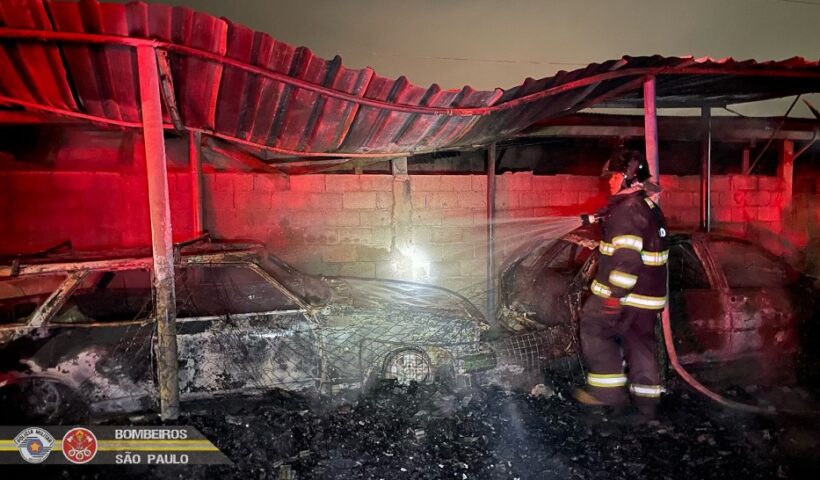 Idosa e cães resgatados de incêndio em São José dos Campos