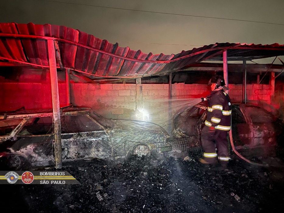 Idosa e cães resgatados de incêndio em São José dos Campos