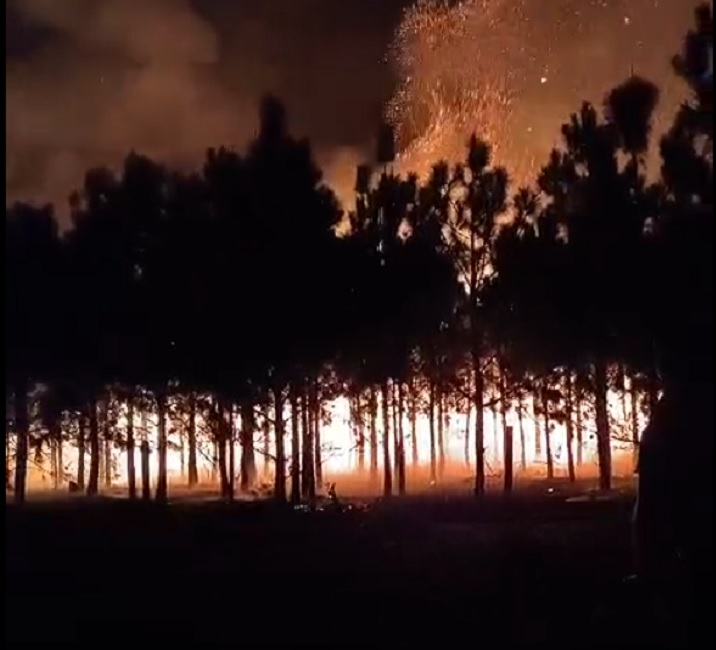 Incêndio de grandes proporções atinge vegetação no Distrito de São Francisco Xavier