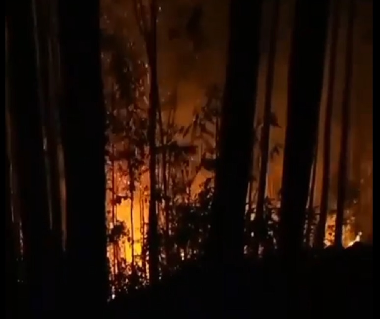 Cunha e mais oito cidades de SP têm focos de incêndio ativos