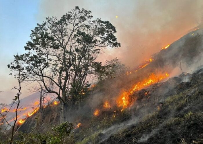 Vale do Paraíba tem alerta para risco de queimadas neste domingo