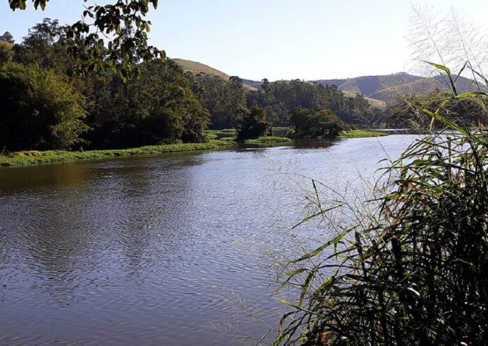 CETESB investiga mortandade de peixes no Rio Paraíba do Sul