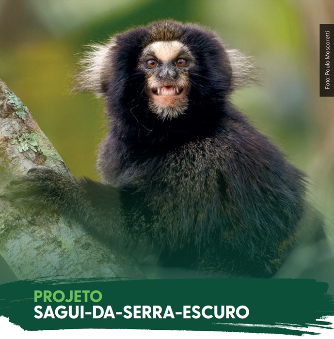 Biólogo alerta sobre riscos climáticos e biodiversidade no Vale do Paraíba